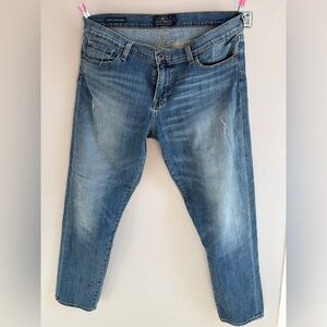 Lucky Brand Sienna Slim Boyfriend Jeans (Size 14/32)